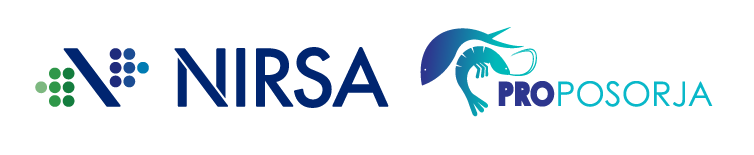 Inicio NIRSAYPROPOSORJA